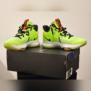 Nike Lebron Witness 5 (V).